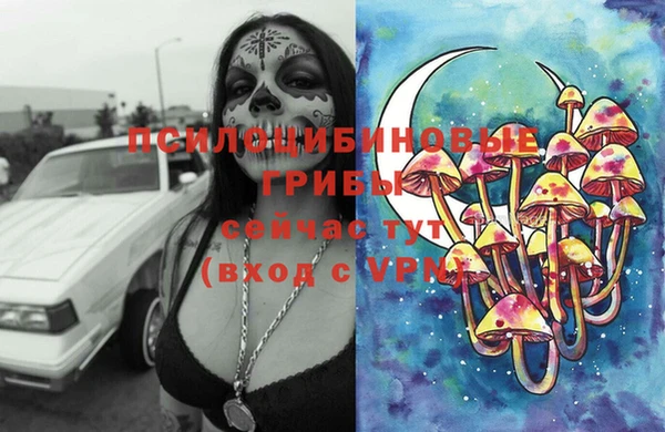 apvp Беломорск