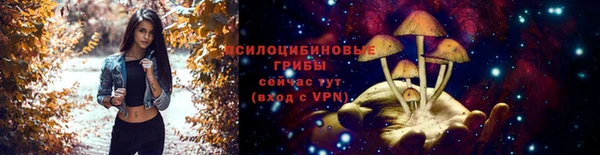 ECSTASY Белокуриха
