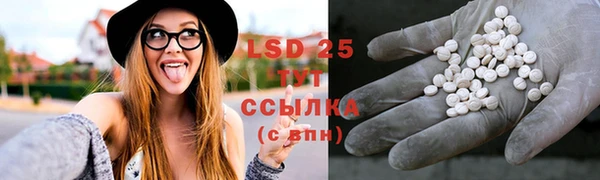 ECSTASY Белокуриха