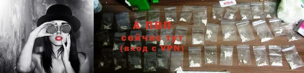 ECSTASY Белокуриха