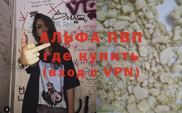 ECSTASY Белокуриха